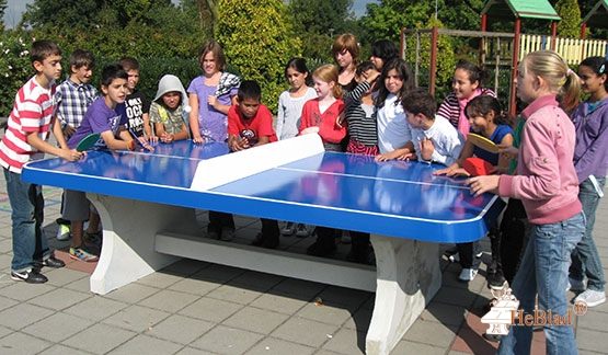 Betonnen pingpongtafel met afgeronde hoeken blauw