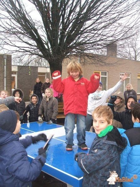 Action 4 Kids Nederland B.V. from Dalfsen