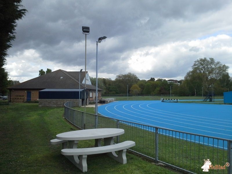 Dartford Harriers Athletic Club out  Dartford