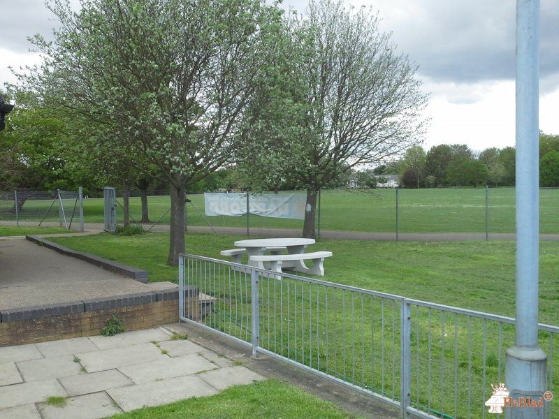 Dartford Harriers Athletic Club out  Dartford