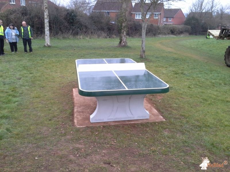 Taunton Deane BC out  Taunton