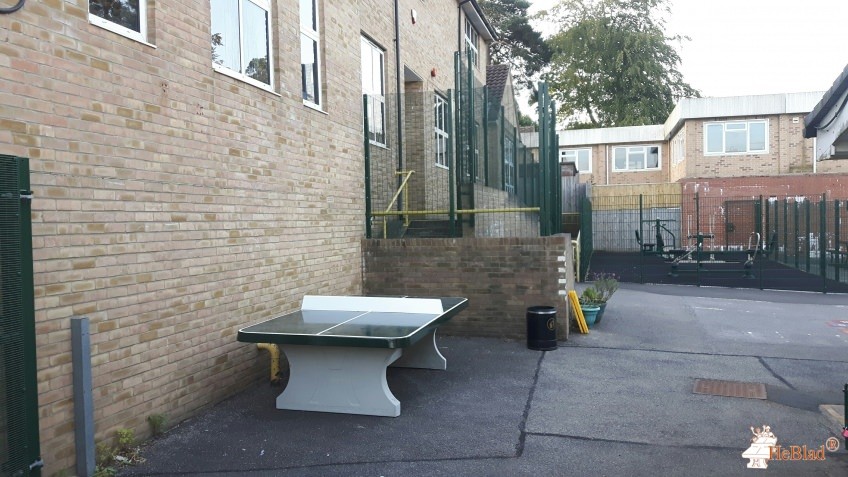 Clifton Hill School out  Caterham