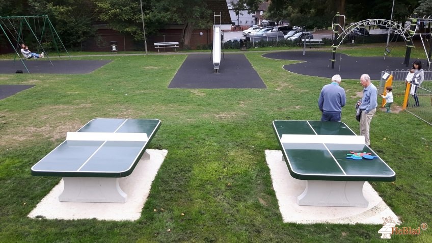 Lion Green (between the enclosed playground and the picnic tables) out  Haslemere