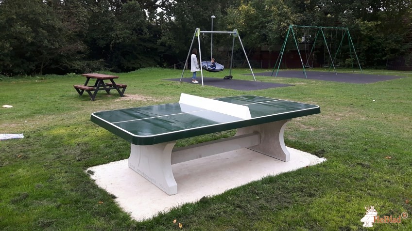 Lion Green (between the enclosed playground and the picnic tables) out  Haslemere
