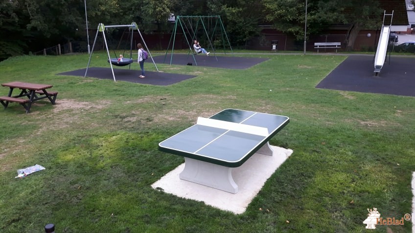 Lion Green (between the enclosed playground and the picnic tables) out  Haslemere