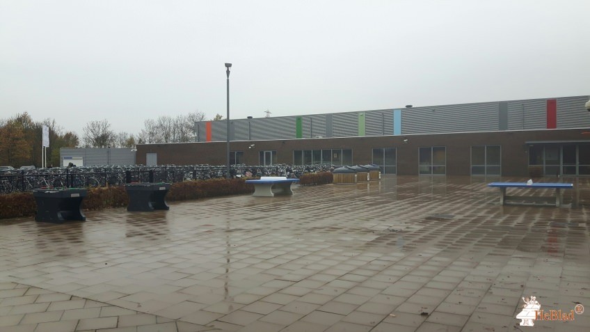 Mondial College from Nijmegen