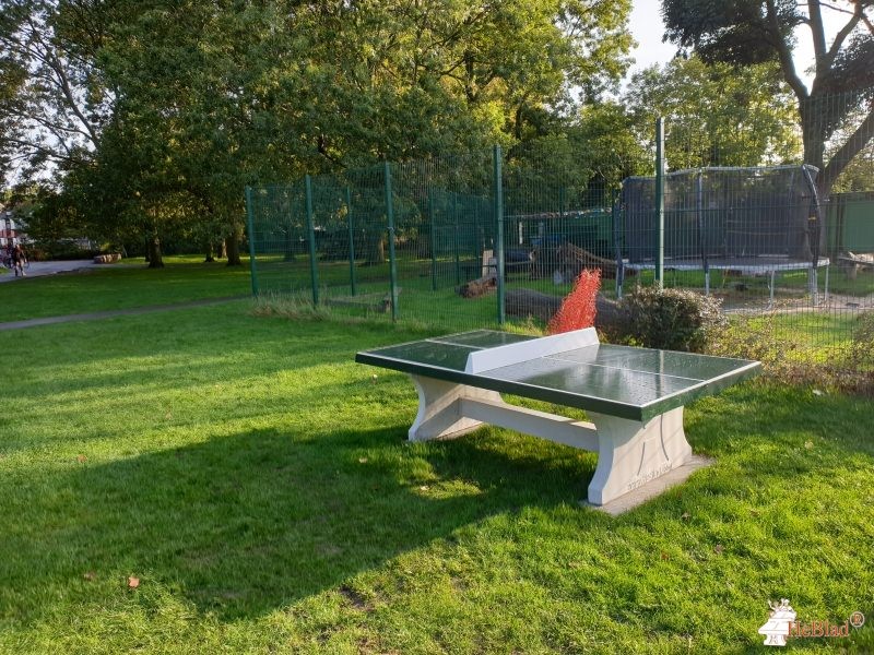 Ladywell Park out  Lewisham