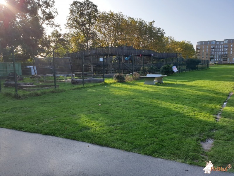 Ladywell Park out  Lewisham