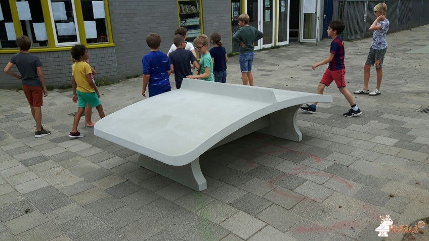 15e Montessori Maas en Waal  from Amsterdam