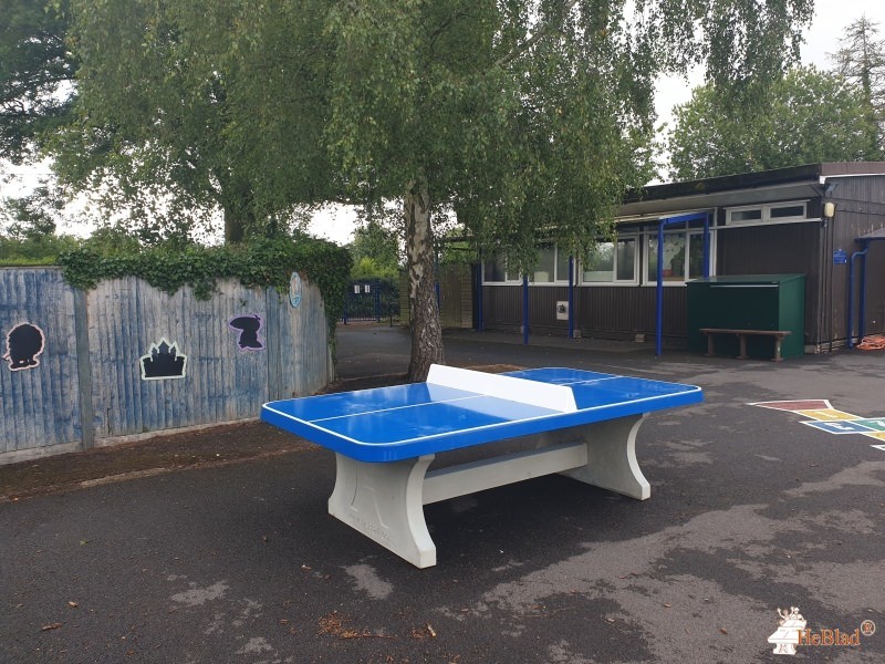 Stawley Primary School out  Wellington