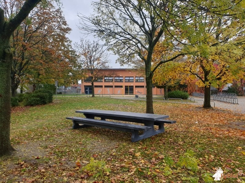 Förderverein der Geschwister-Scholl-Gymnasium from Pulheim