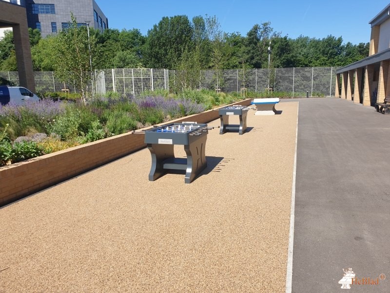 Brampton Manor Academy out  East Ham London