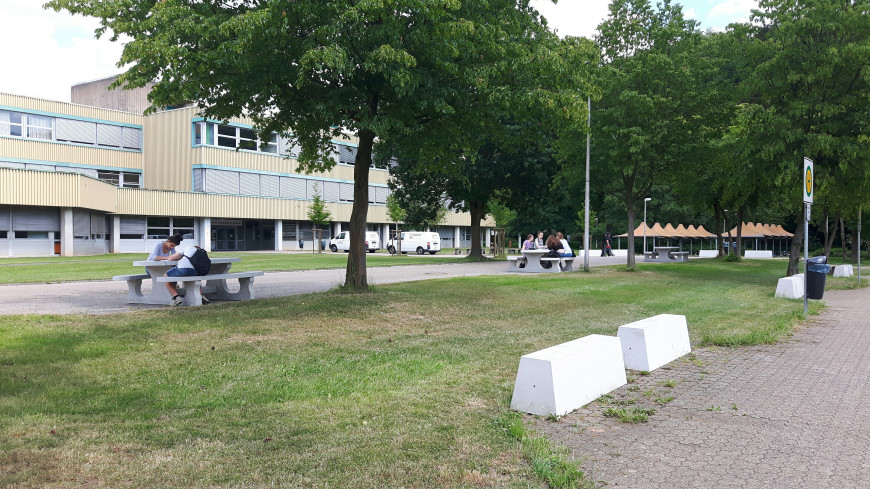 Bench Standard Natural Concrete
