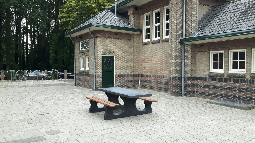 Picnic table DeLuxe Anthracite-Concrete Wheelchair accessible