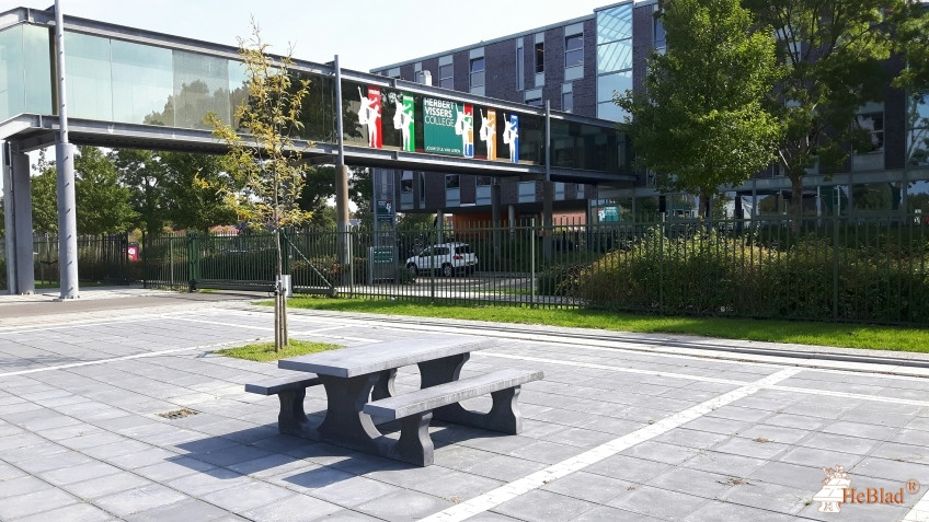 Picnic table Standard Anthracite-Concrete