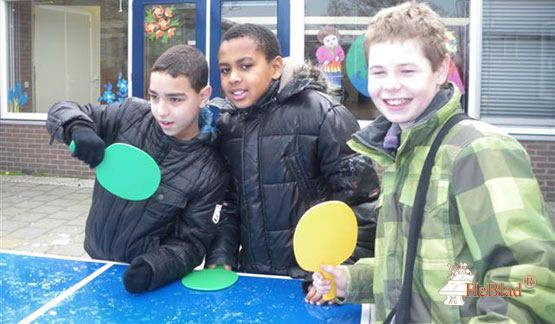Starter package table tennis bats & balls 