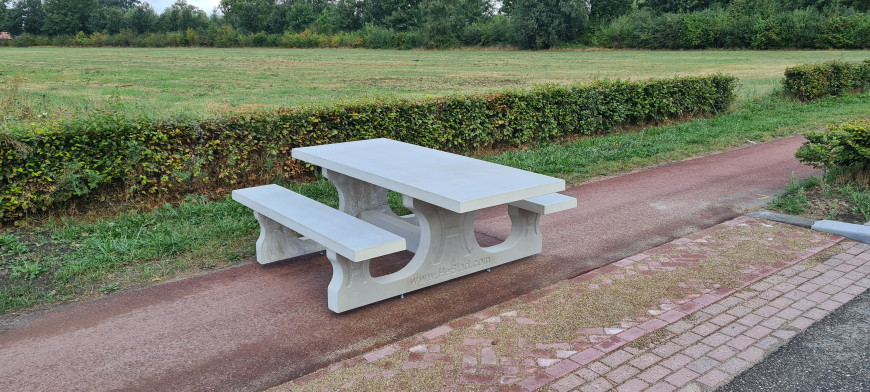 Picnic table Standard Natural Concrete Wheelchair accessible