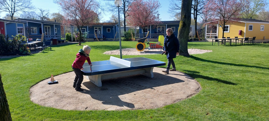 Ping pong table low, rounded Green