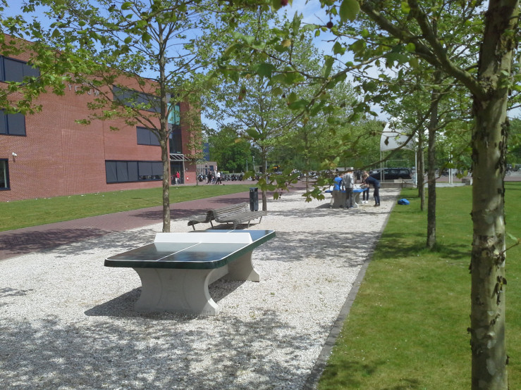 Concrete Ping-pong table green, rounded