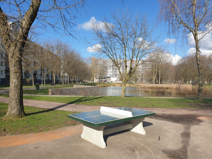Concrete Ping-pong table green, rounded