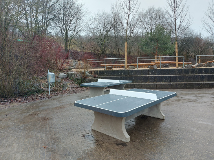 Concrete Ping-pong table anthracite, rounded