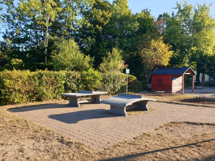 Ping-pong table rounded, Anthracite-Concrete