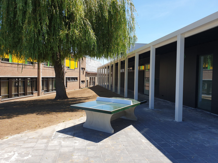 Concrete Ping-pong table green