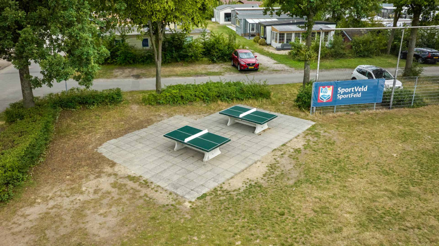 Concrete Ping-pong table green