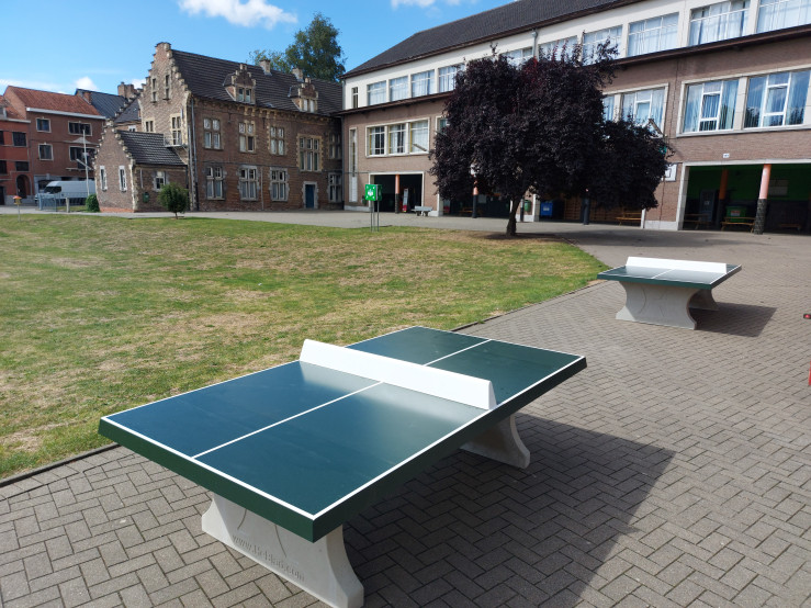 Concrete Ping-pong table green