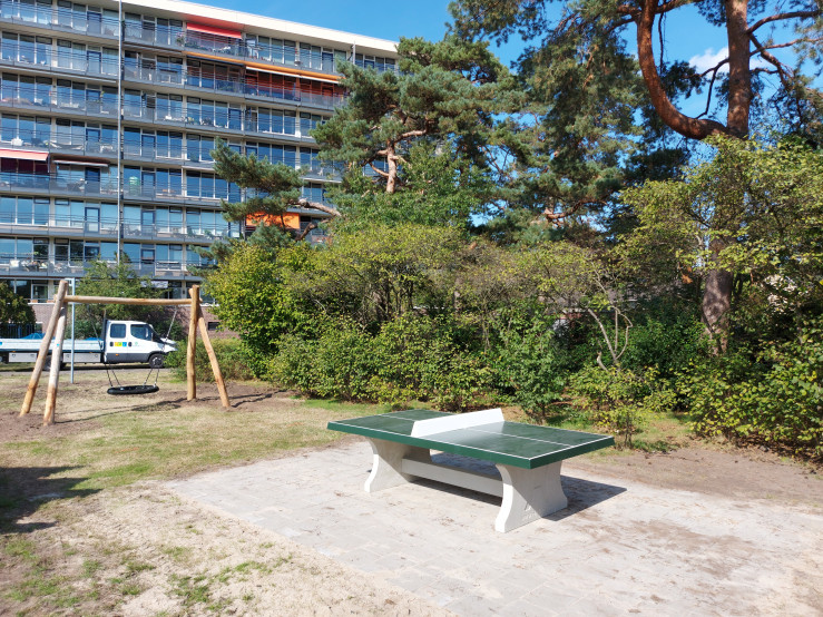 Concrete Ping-pong table green