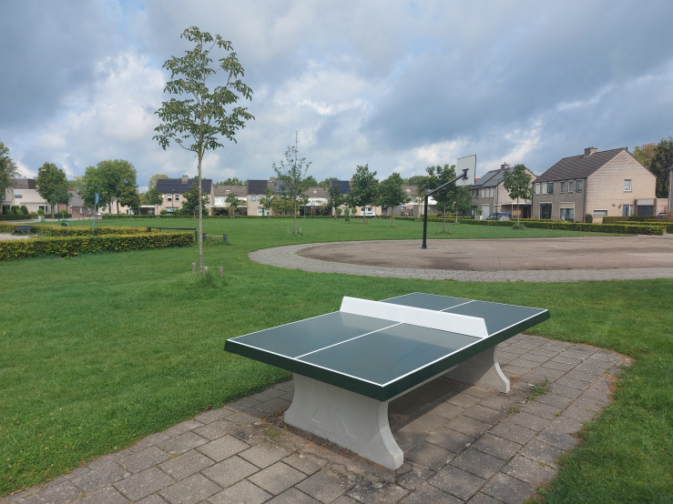 Concrete Ping-pong table green