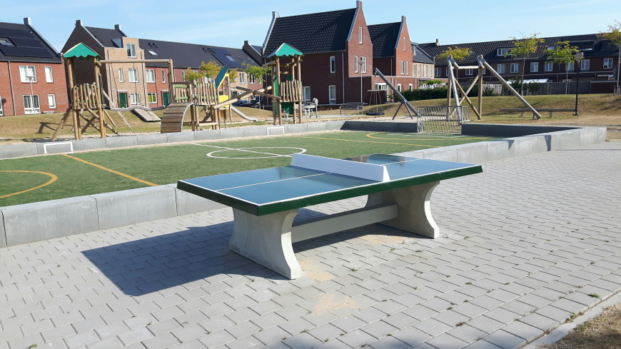 Concrete Ping-pong table green