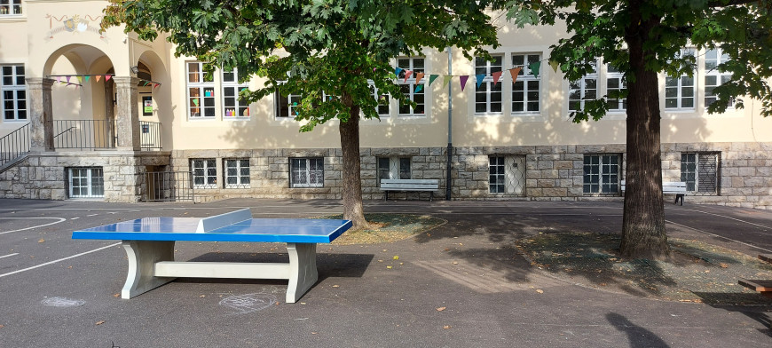 Concrete Ping-pong table blue