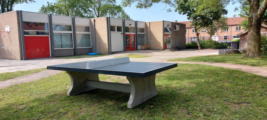 Concrete Ping-pong table anthracite