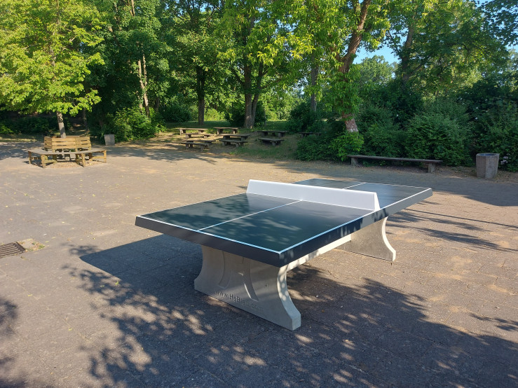 Concrete Ping-pong table anthracite