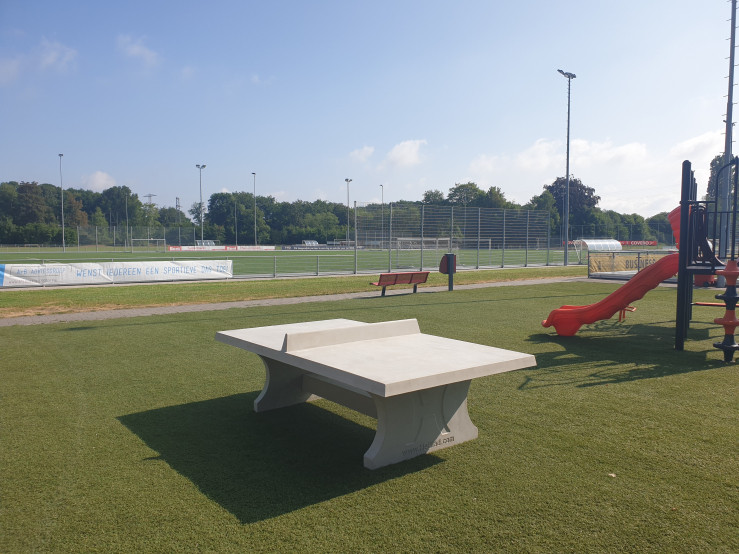 Ping-pong table in natural concrete