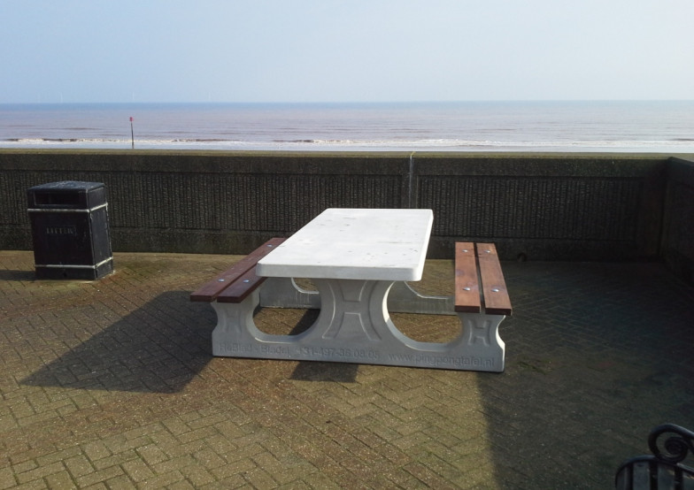 Picnic table DeLuxe Natural Concrete Wheelchair accessible 