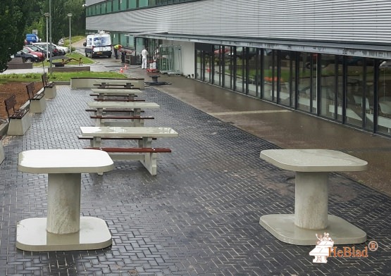 High Table Natural Concrete