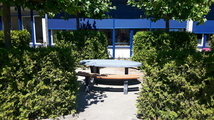 Picnic table DeLuxe  Oval Anthracite-Concrete 
